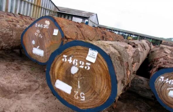 20190817150743693.jpg 20190817150743693.jpg